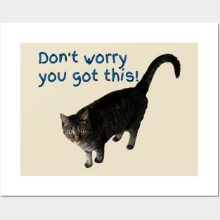 Don’t Worry You Got This (kitty) 2 Posters and Art